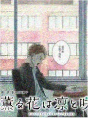 纸鸢航线片单封面
